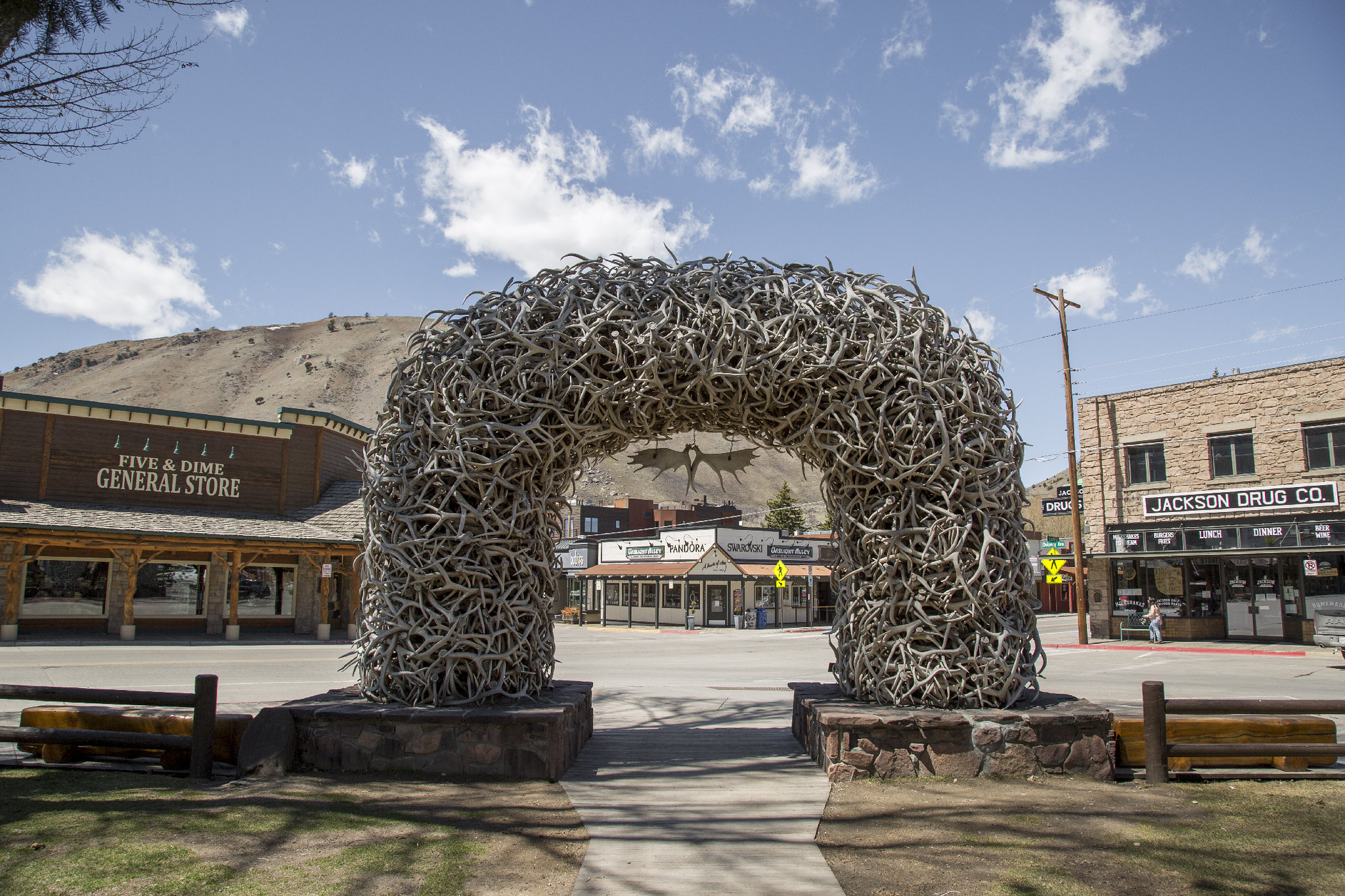 What is the new wellness program for those in their 20s?