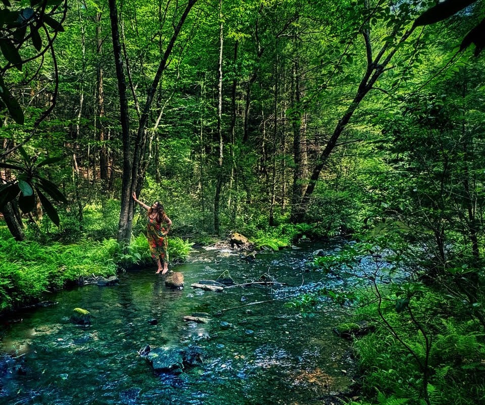 Wellness Retreat in Local State Park?