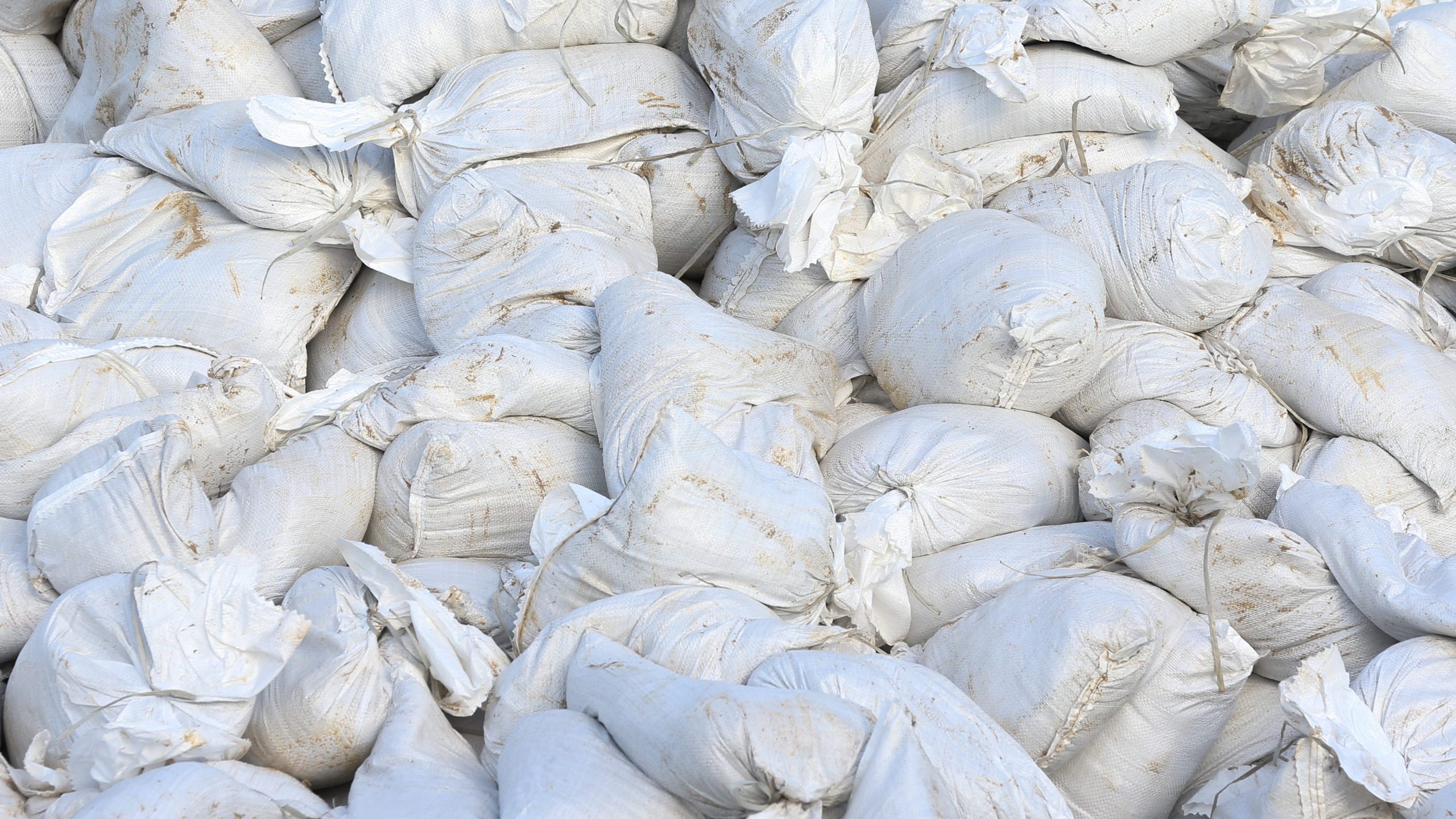 What Services Are Available at the Health Fair?