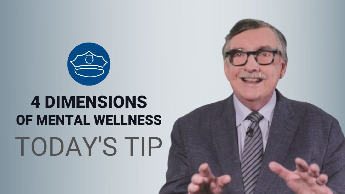 What are the four dimensions of mental wellness?