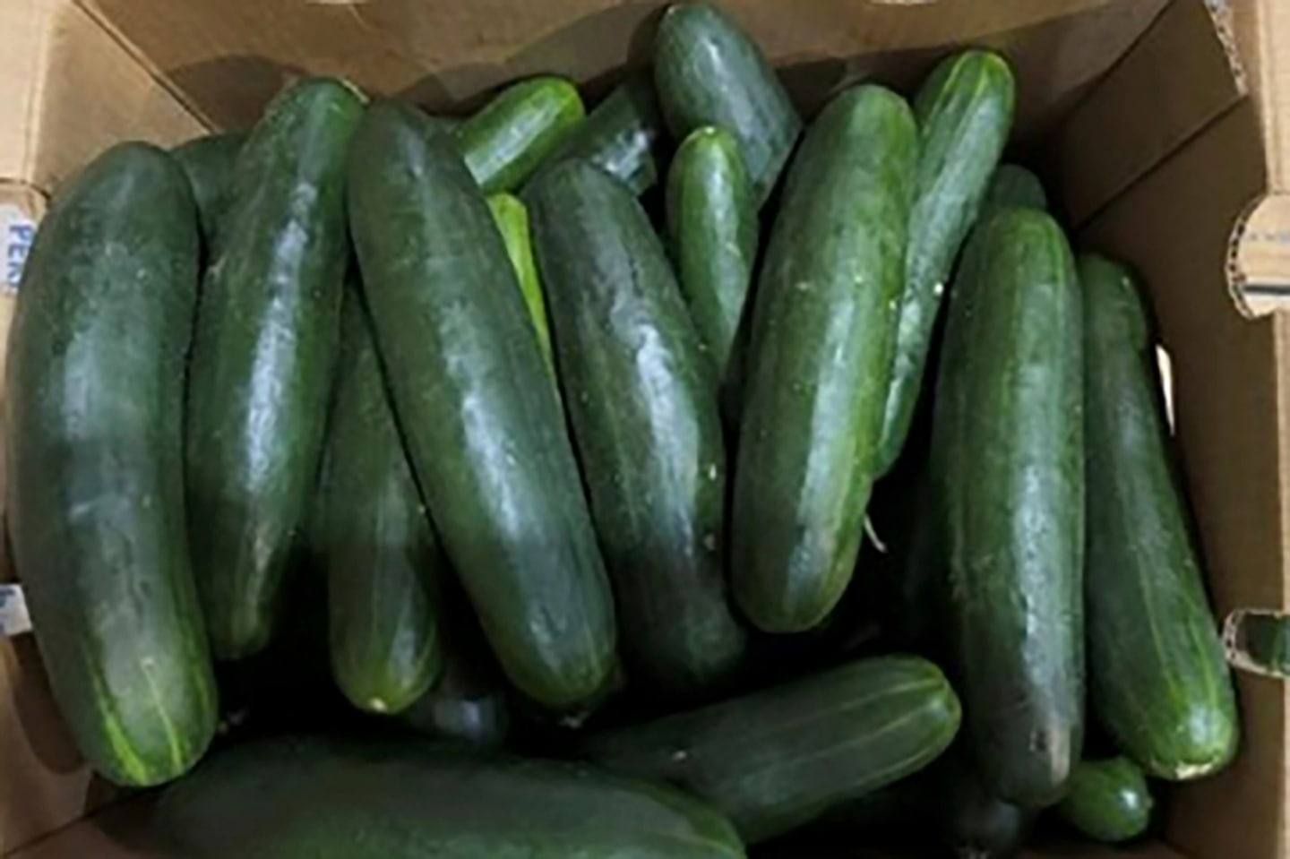 Salmonella Outbreak Linked to Cucumbers: What's Going On?