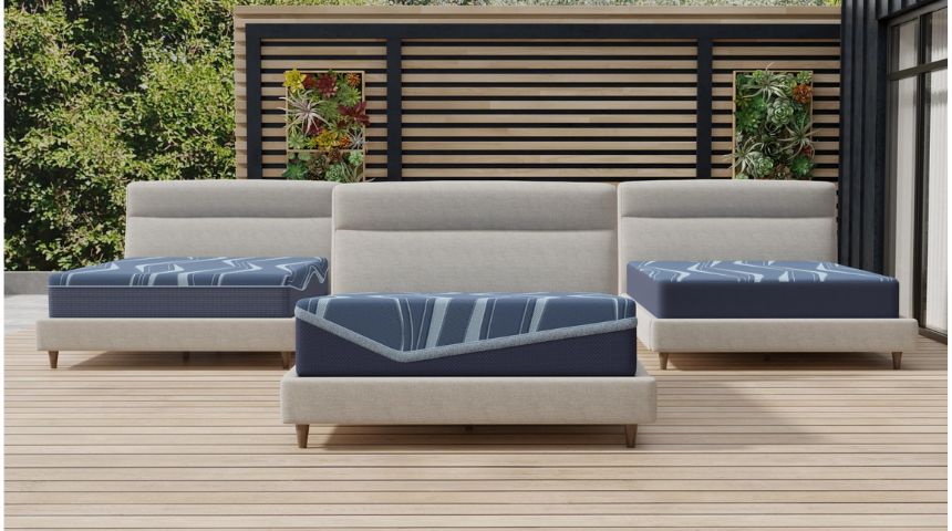 What are South Bay International's new wellness products?