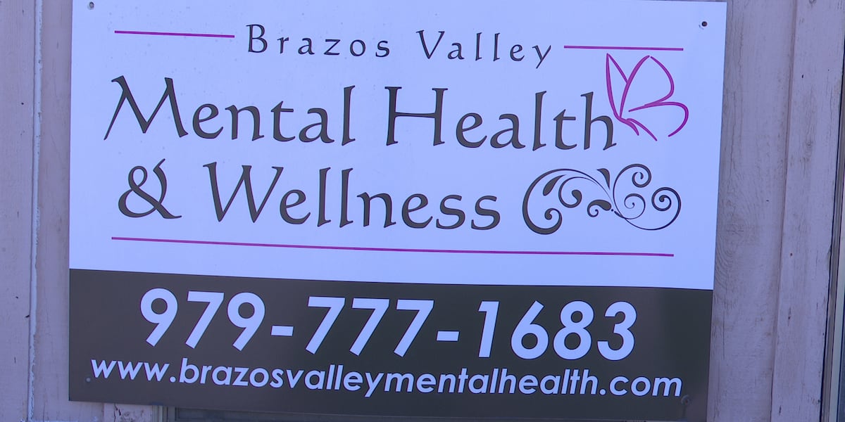 What is the New Women's Wellness Mini Series?