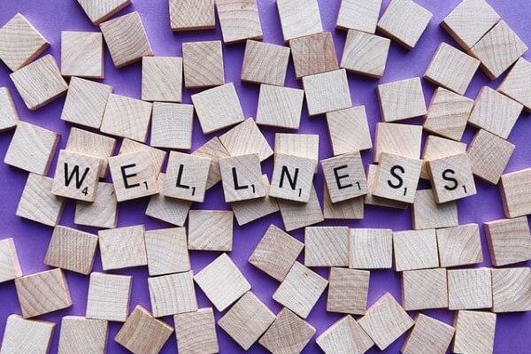 What is the Employee Wellness Summit in Biddeford?