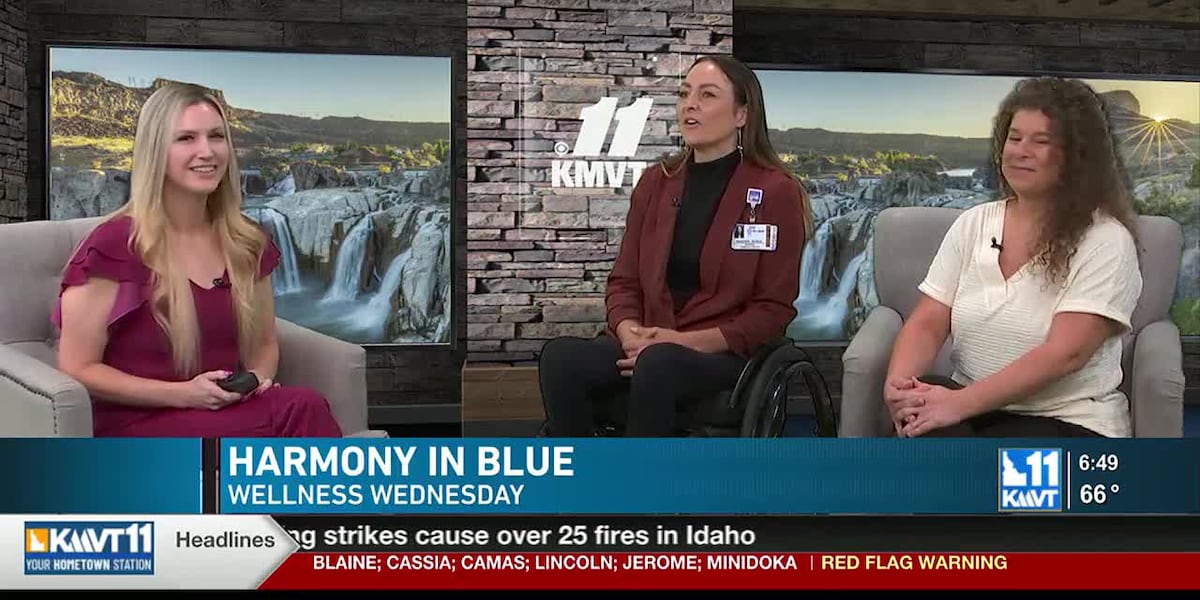 What is the Harmony in Blue Mental Health Summit?