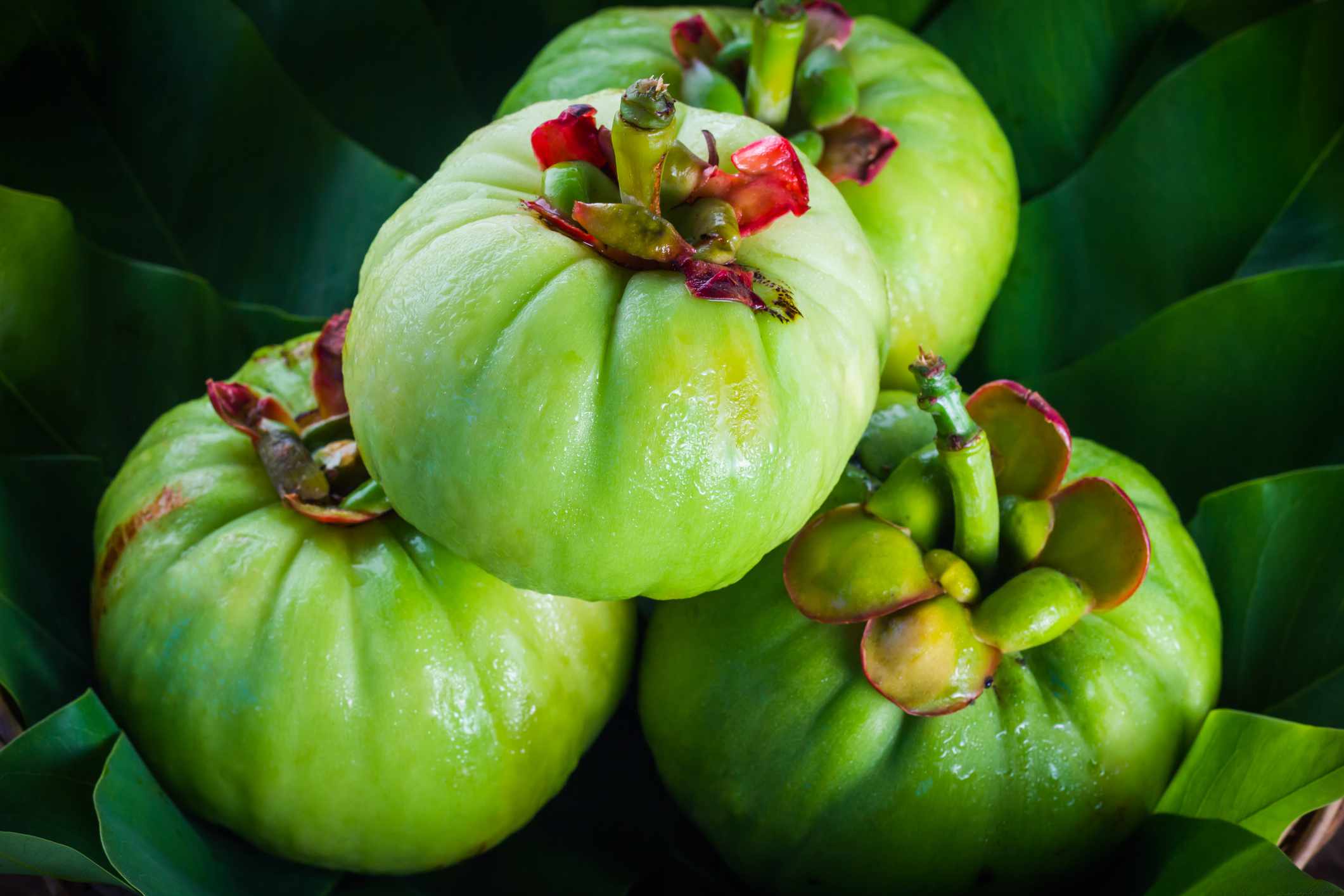 What is Garcinia Cambogia and How Does It Work?