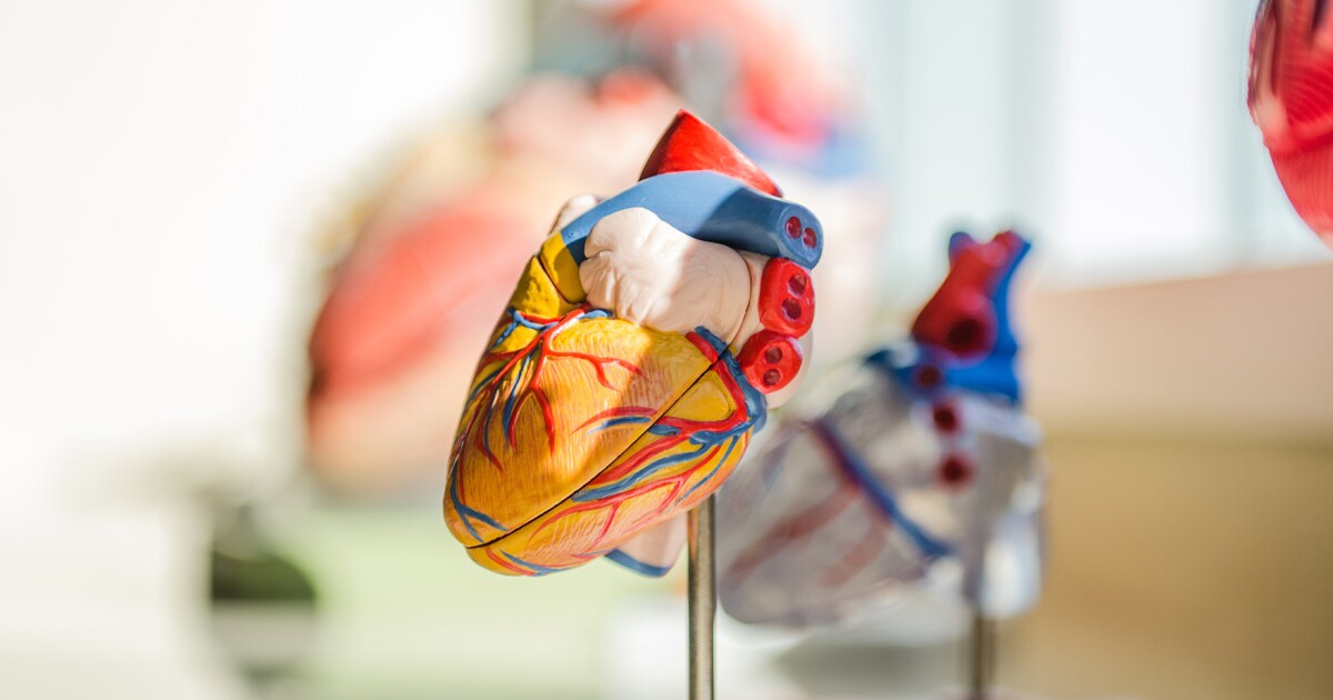 How Are Central Ohioans Enhancing Heart Health?