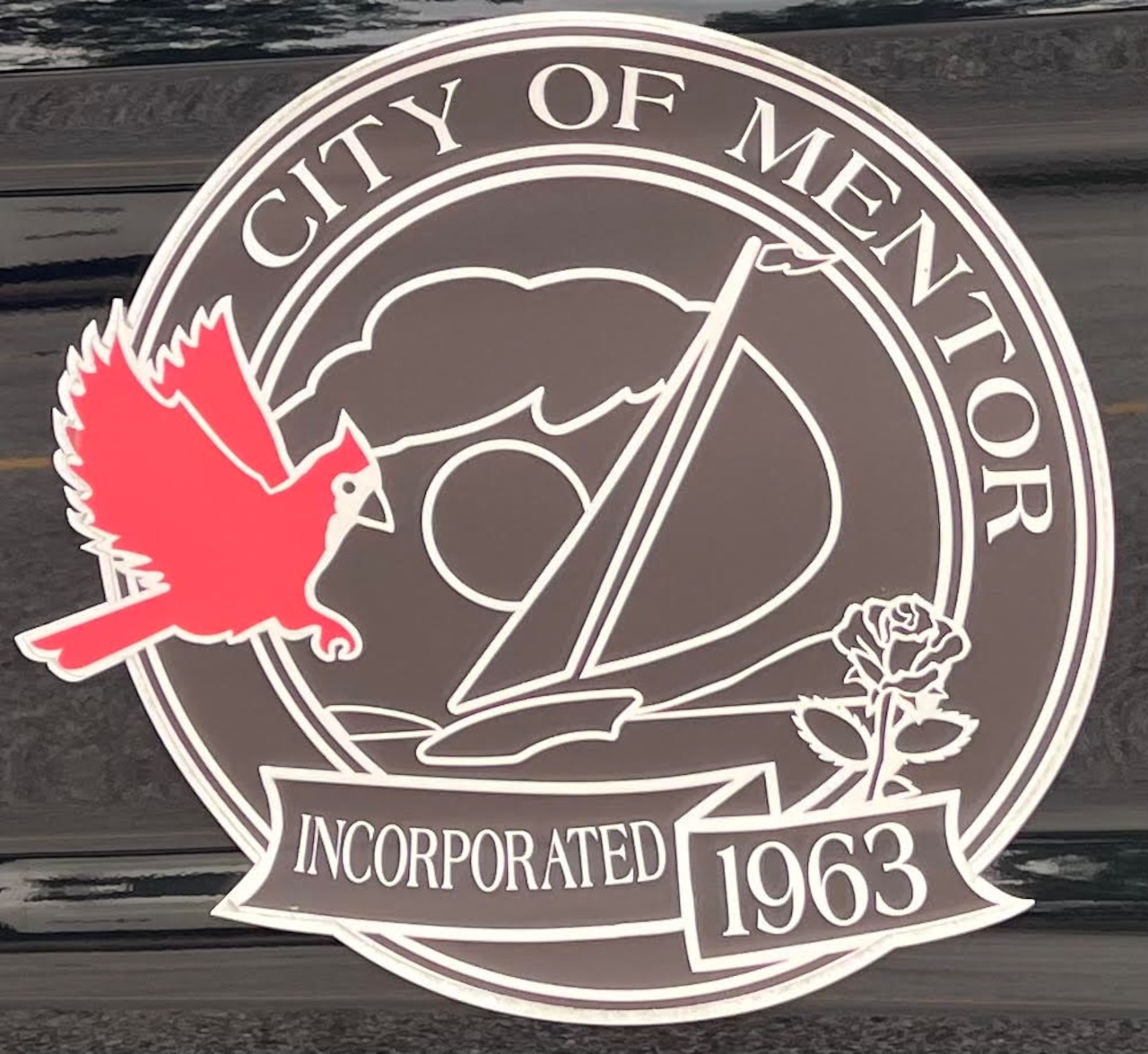 What Can You Expect at Mentor's Health and Wellness Fair?