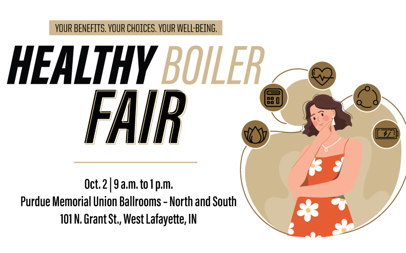 What is the Healthy Boiler Fair all about?