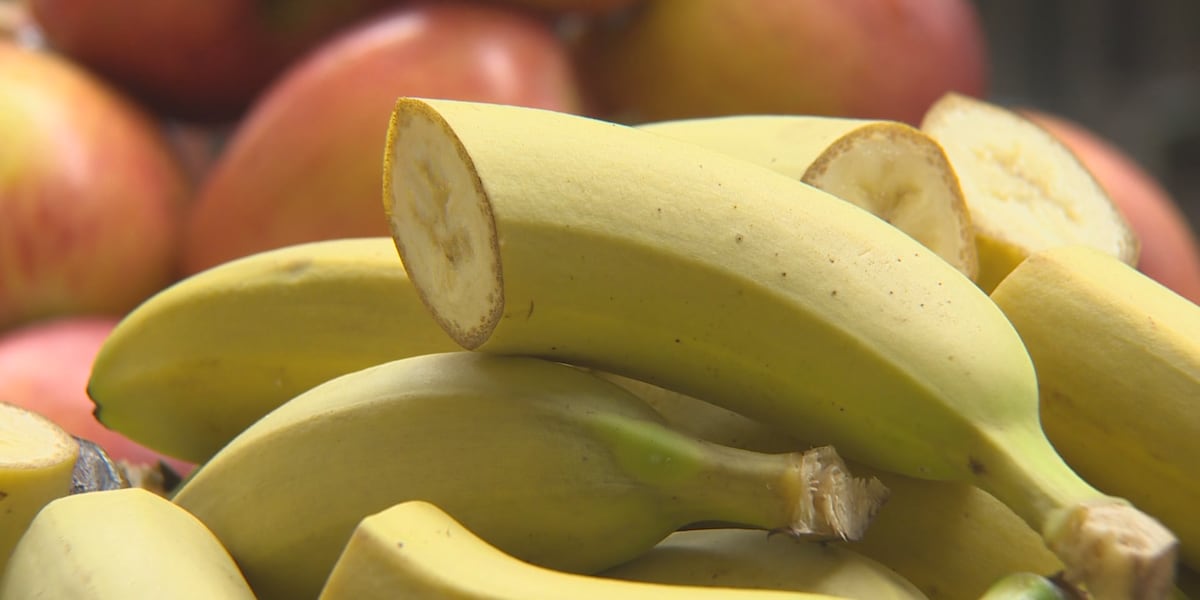 How is St. Johnsbury School District Enhancing Student Nutrition?