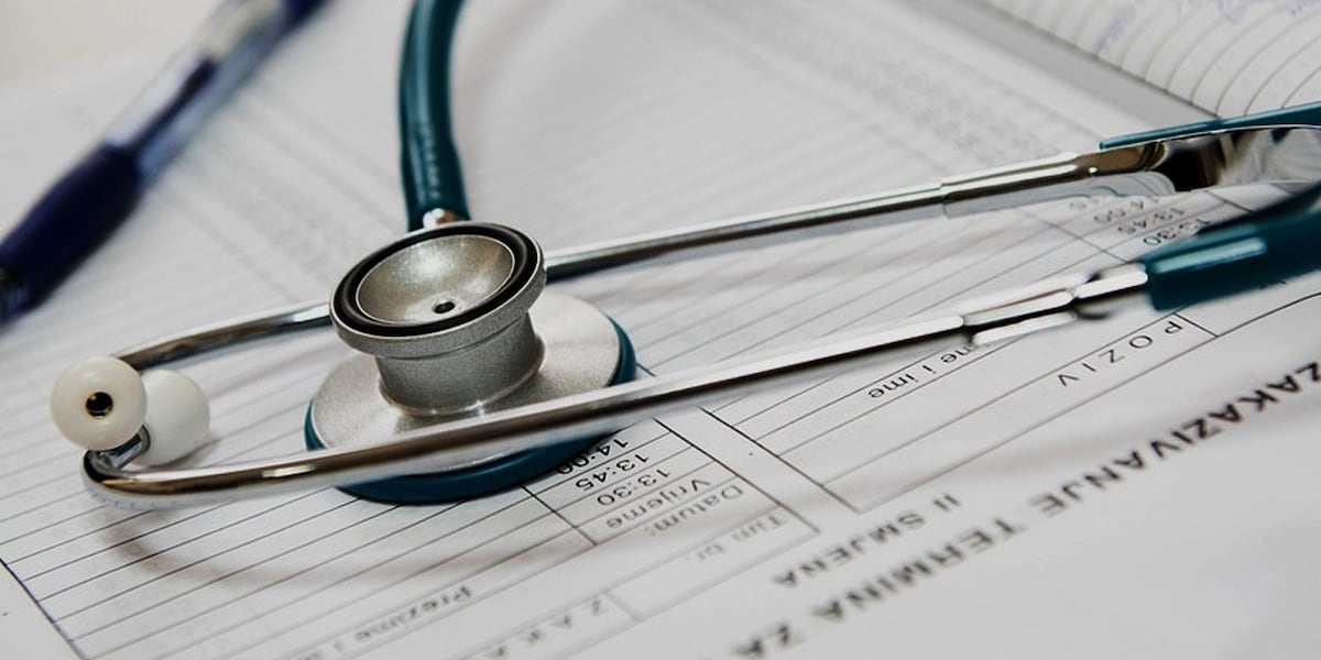 What is the Black Men's Health and Wellness Summit?