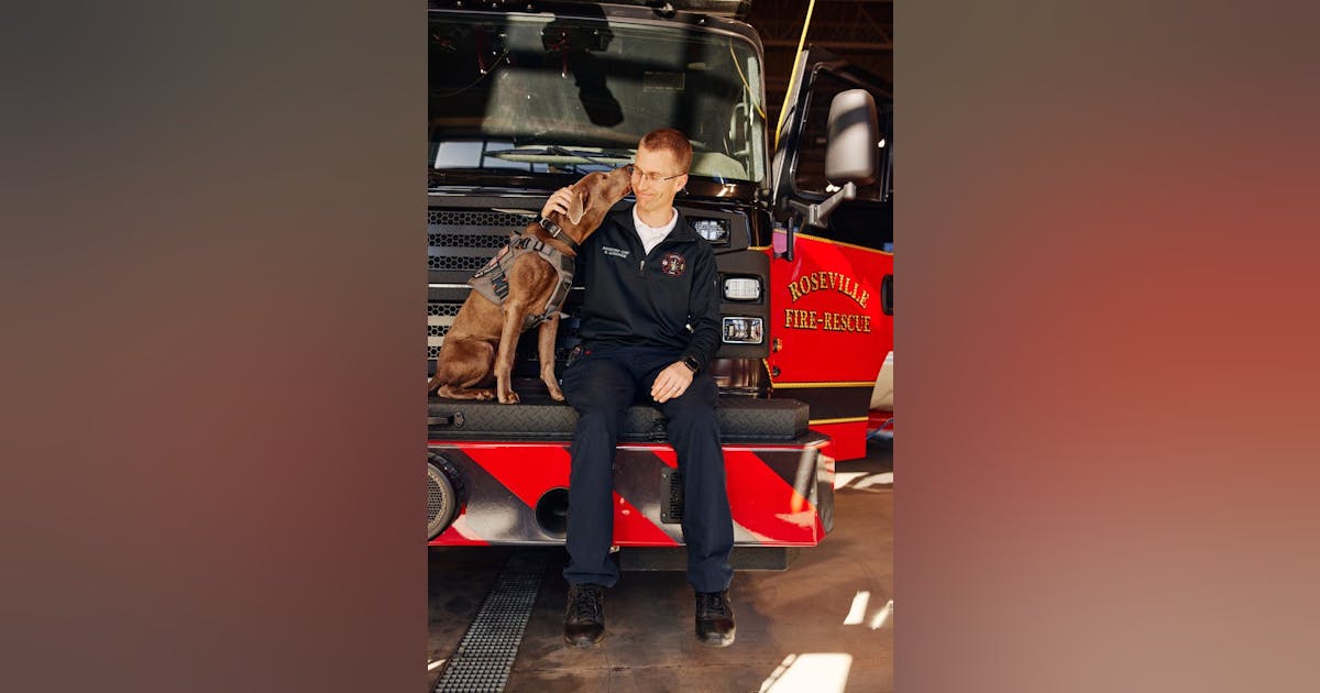 Therapy dog providing comfort to Roseville firefighters, enhancing their mental well-being after stressful incidents.