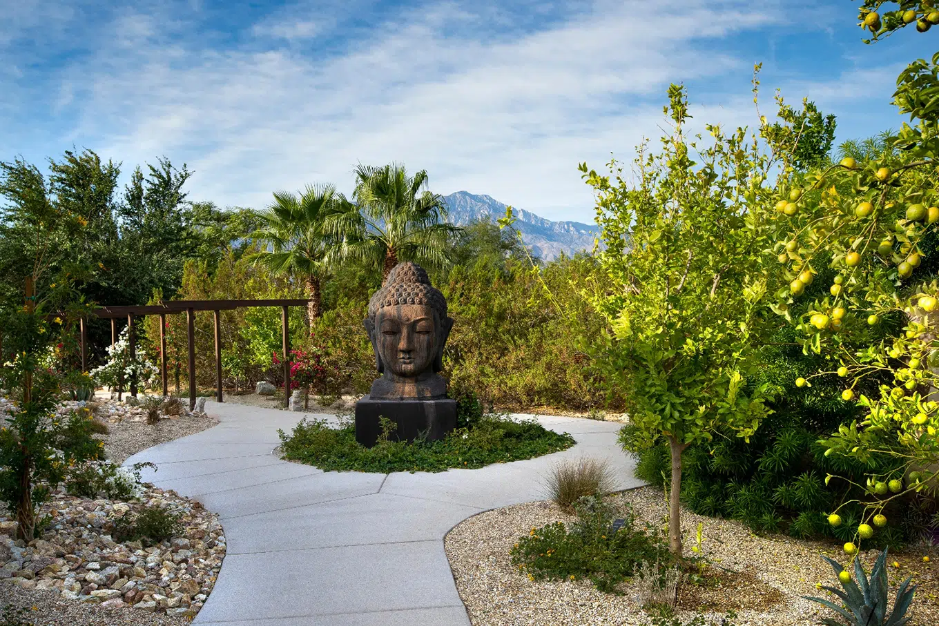 Experience luxury and wellness at We Care Spa, a desert oasis in Palm Springs providing holistic health treatments and guided cleansing programs.